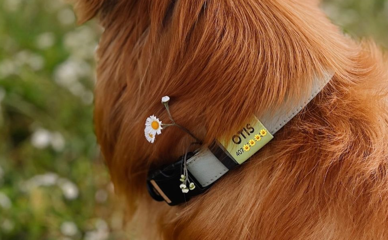 Silent Slide-On ID Tag : 1"