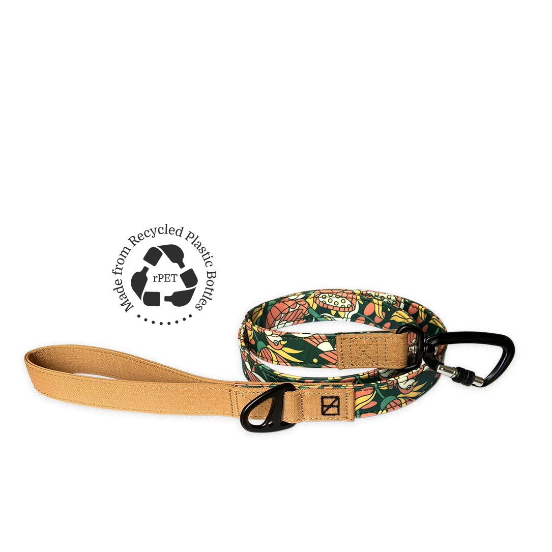 NOOM: Artist Series Leash