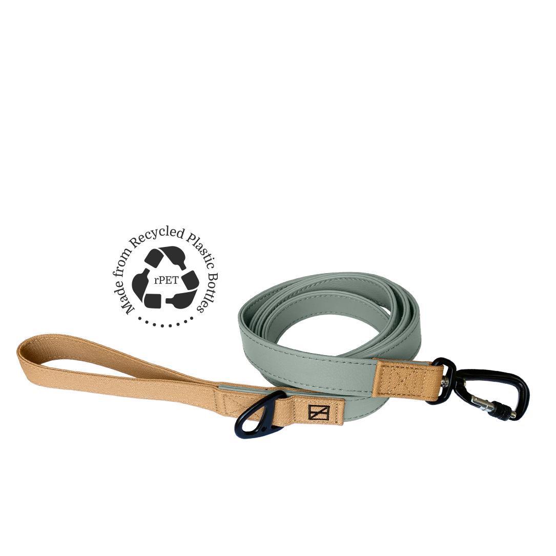 Sage Leash - Recycled Ripstop