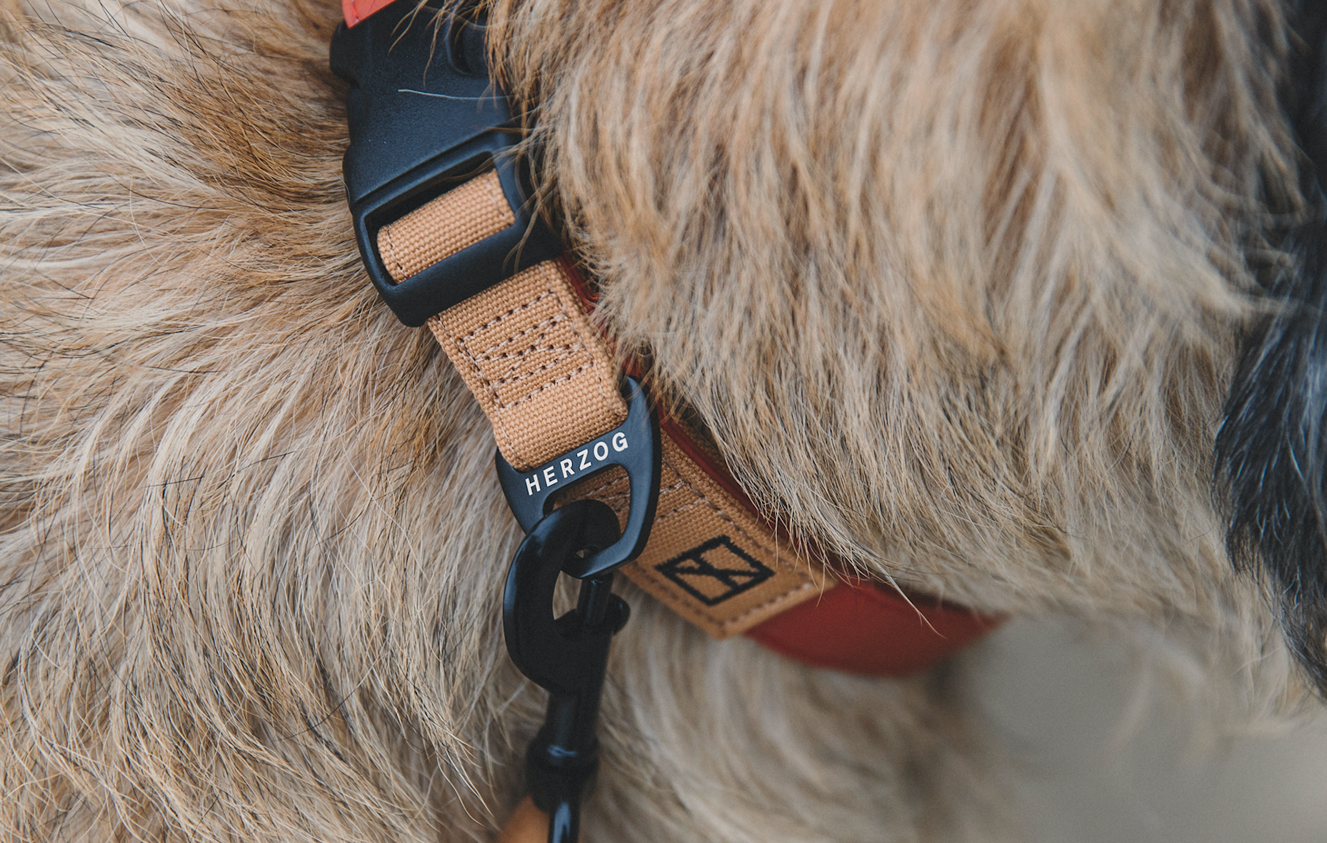 Herzog silicone dog collar