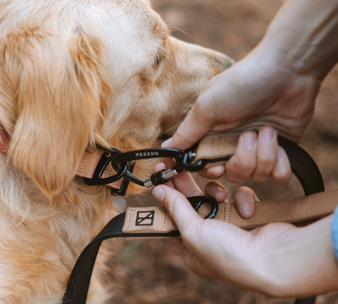 Waterproof Dog Leashes