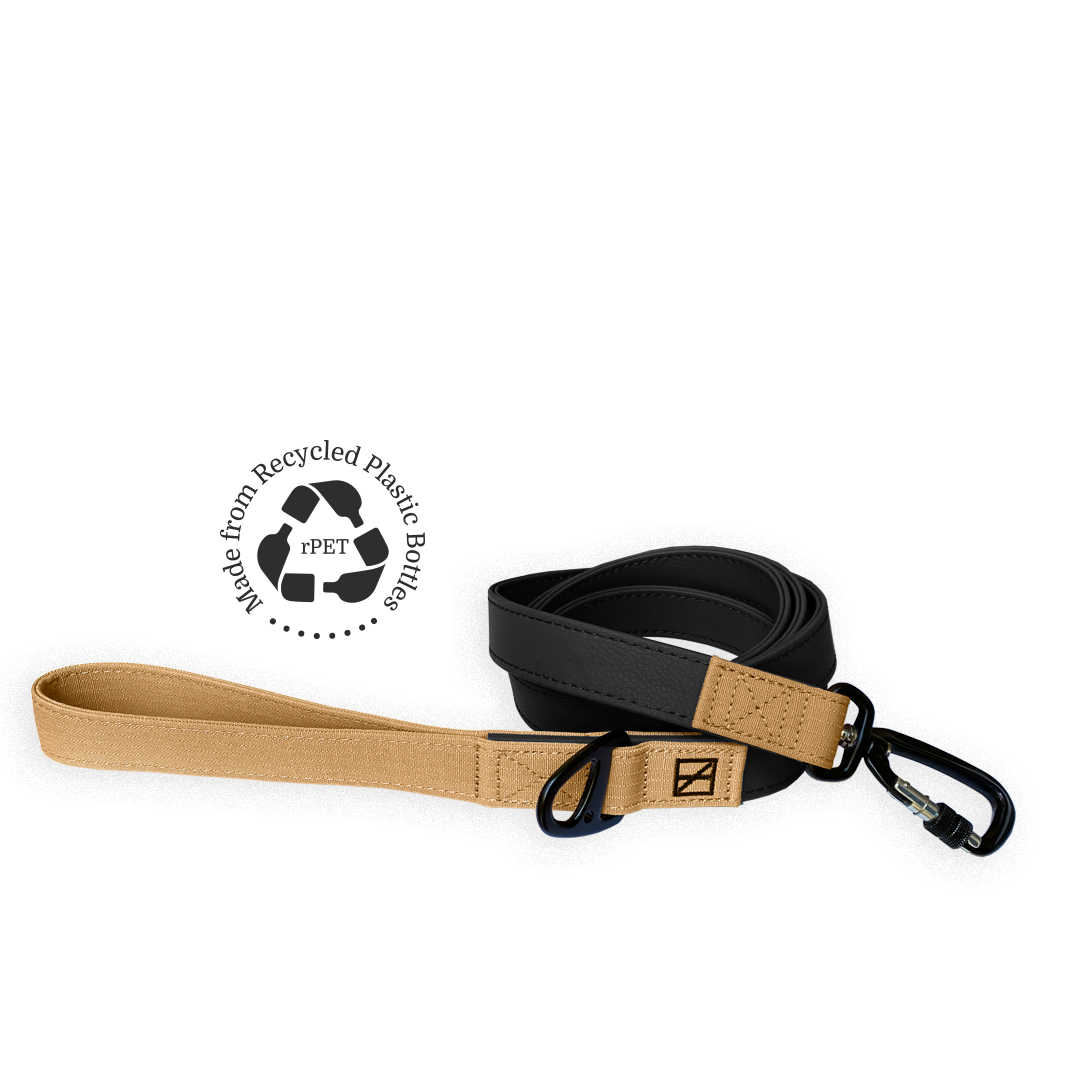 Black Leash - Recycled Ripstop
