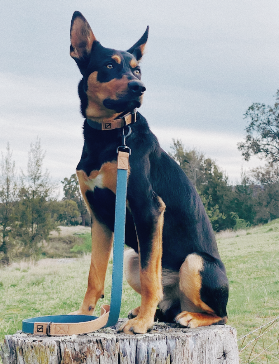 Great Lakes Blue Leash - Recycled Ripstop