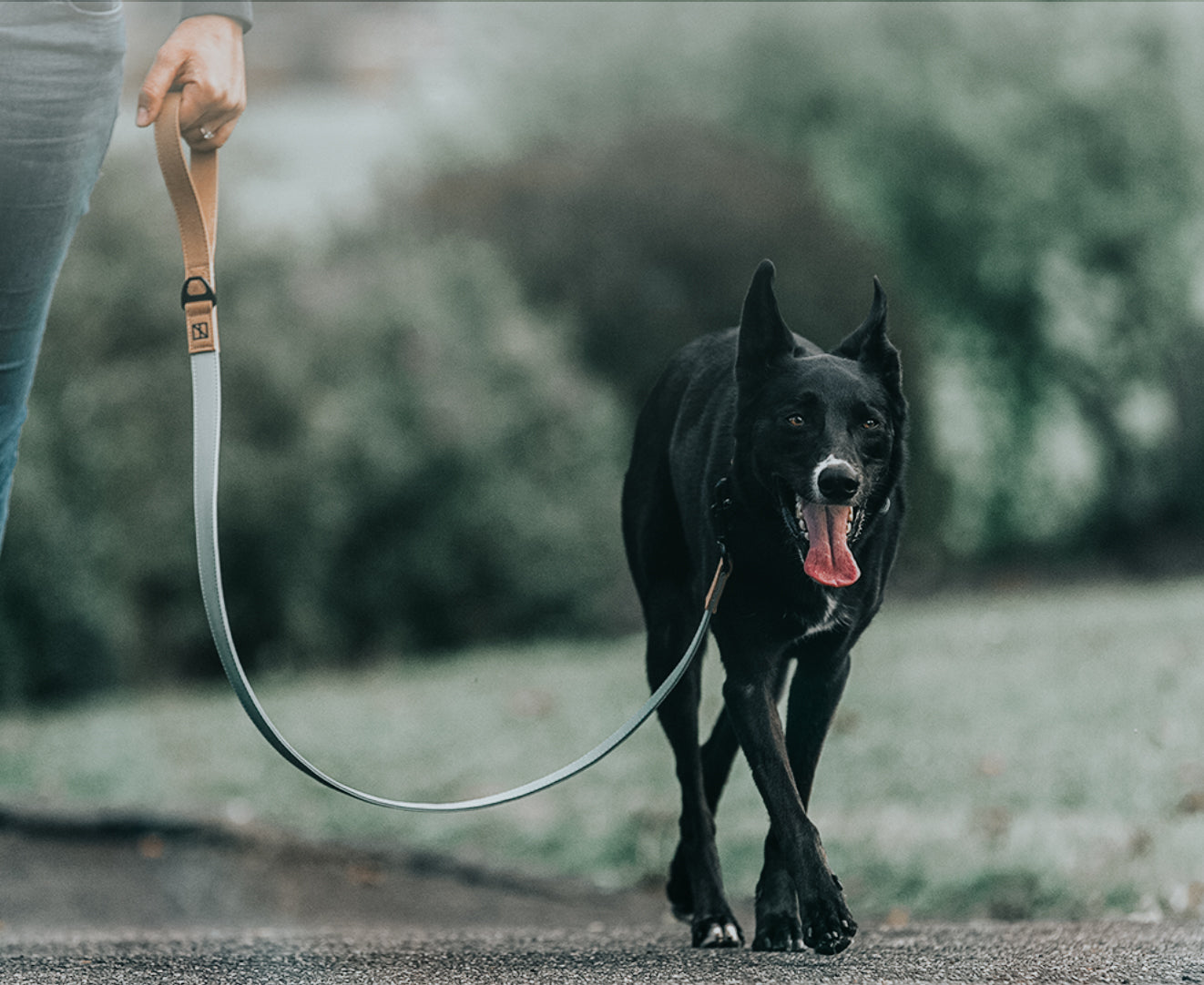 Silicone Leash SAGE Herzog Shop