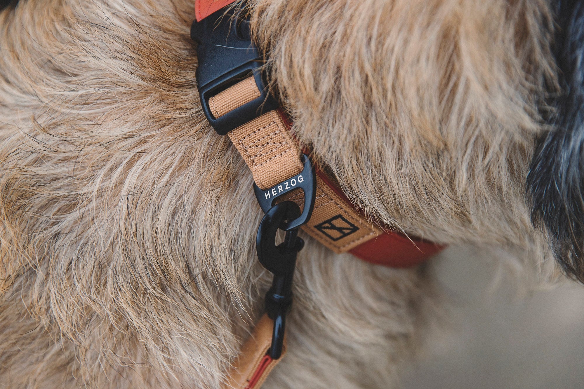 Herzog sales dog collar